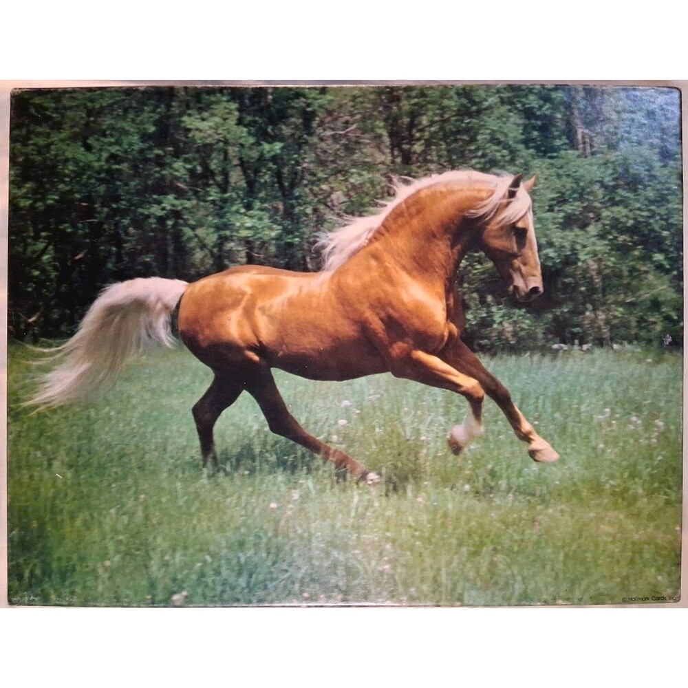 Vtg Springbok 'UNTAMED BEAUTY' Puzzle 500 Pieces Hallmark Complete